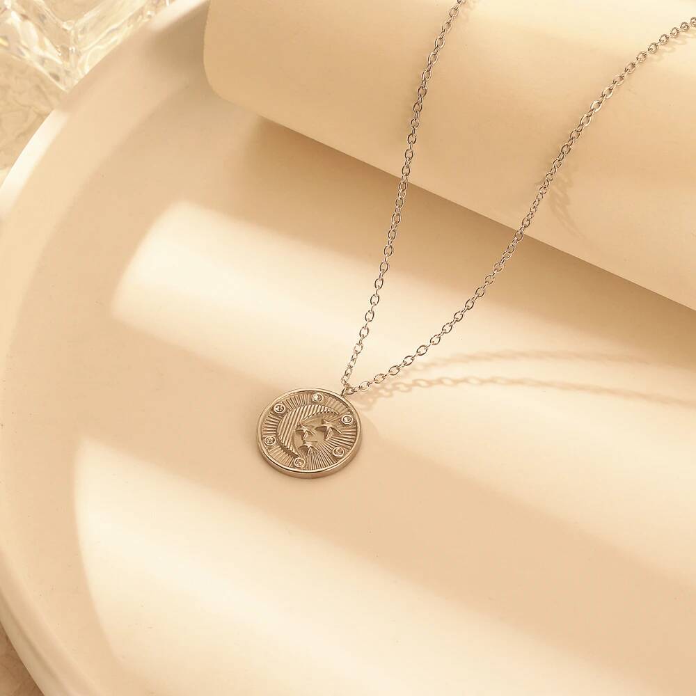 Roestvrij staal vrouwen delica - Coin Necklace Delicate recensie en prijs