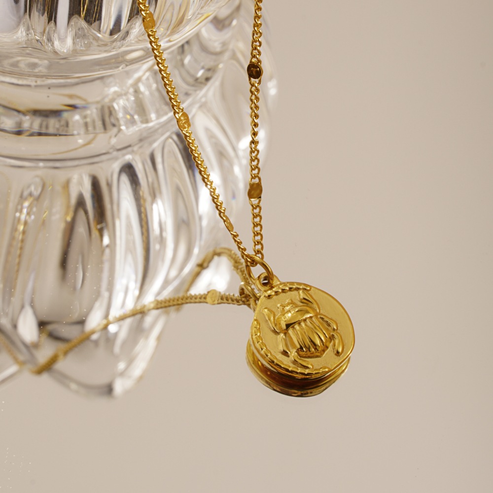 Roestvrijstalen dameshalsketti - Coin Necklace Delicate recensie en prijs