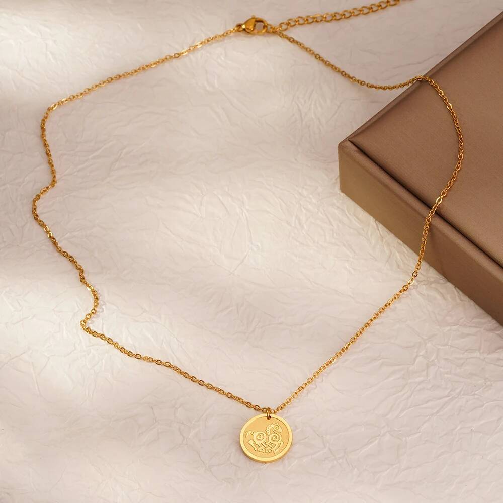 Roestvrij staal mode vrouwen d - Coin Necklace Delicate recensie en prijs