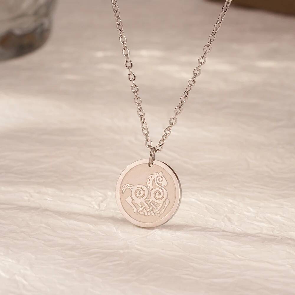 Roestvrij staal mode vrouwen d - Coin Necklace Delicate recensie en prijs