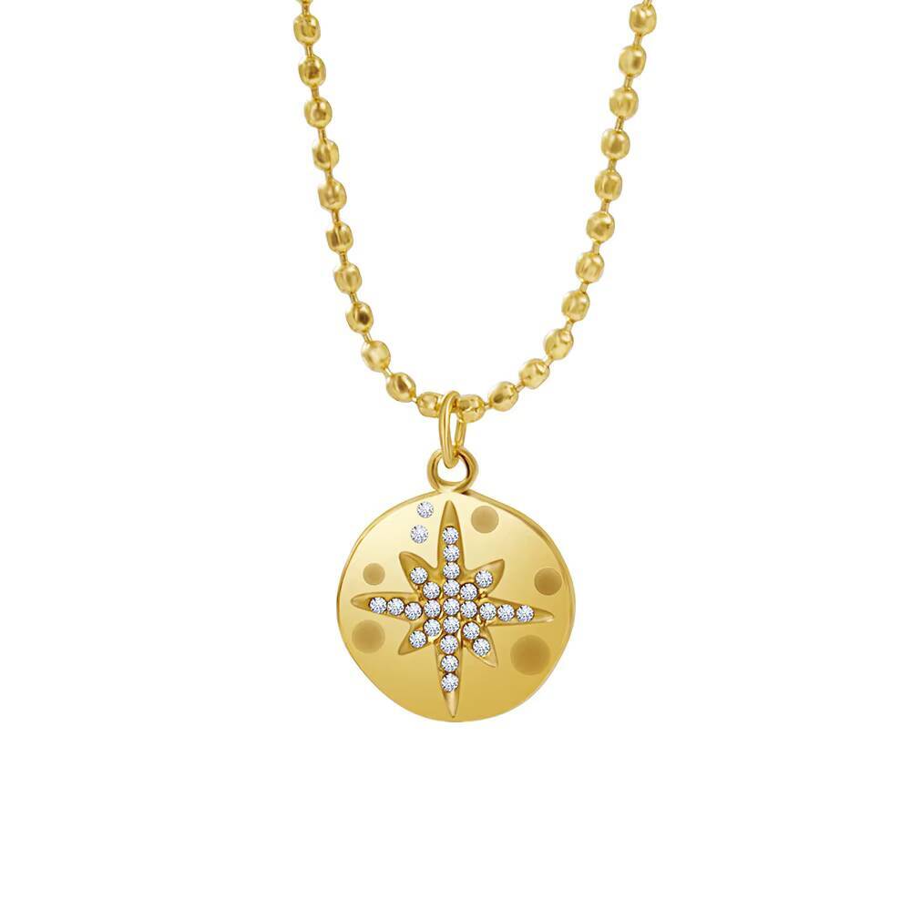 Roestvrij staal vrouwen delica - Coin Necklace Delicate recensie en prijs